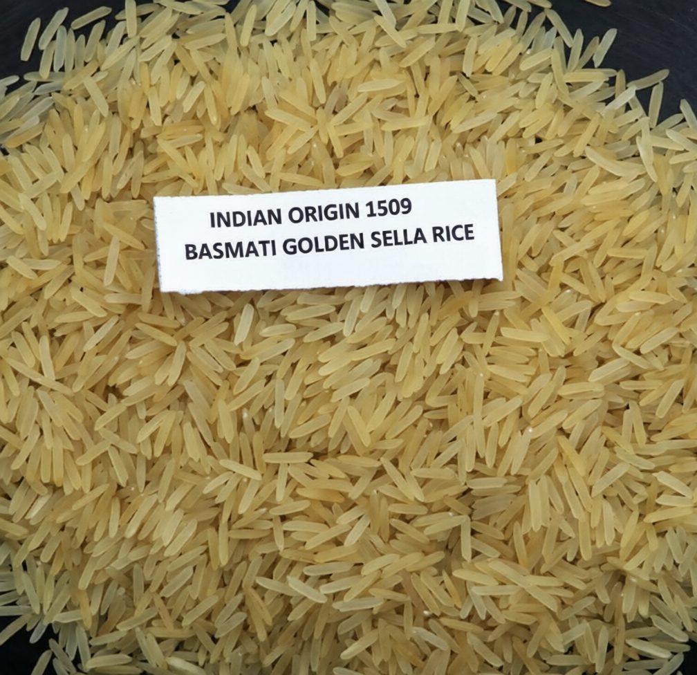 1509 Basmati rice for export from India