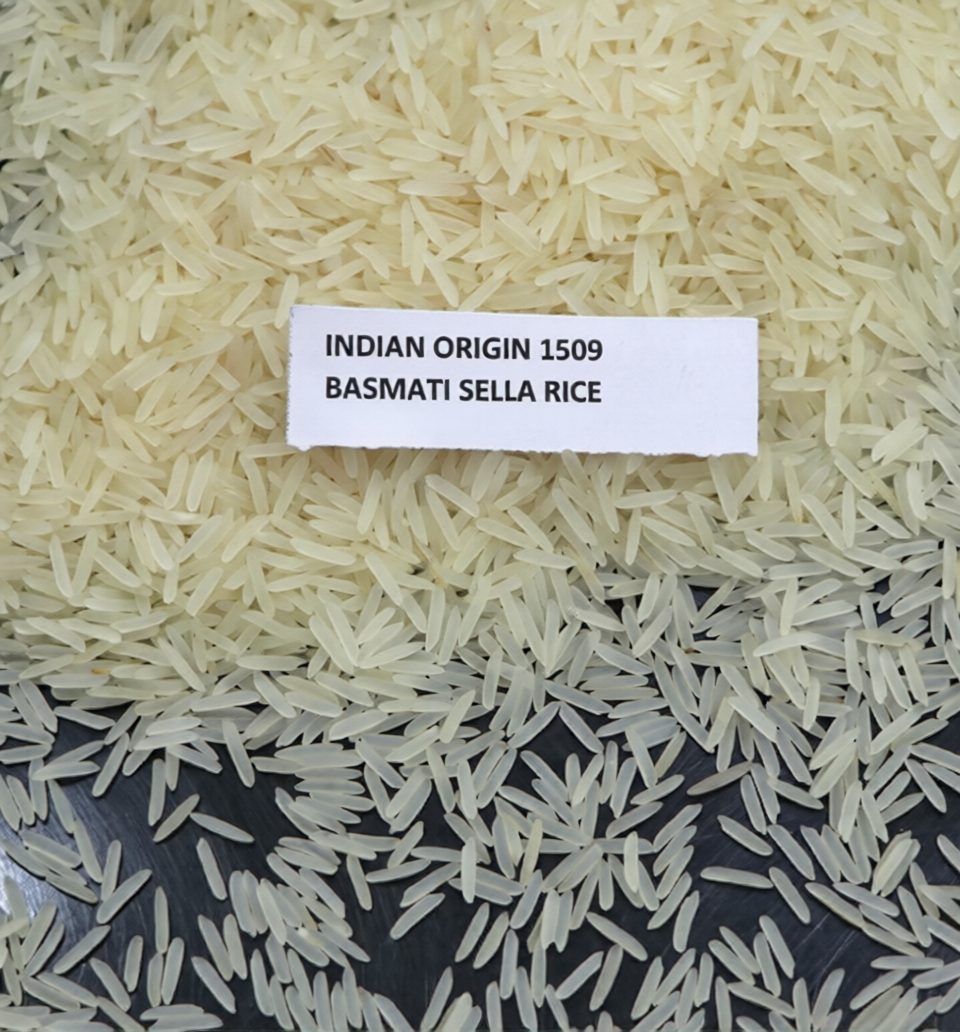 1509 Basmati White Sella rice sample